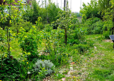 Une expérience d’agroforesterie urbaine : Le jardin Ressource à Lille