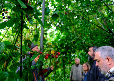 le jardin-forêt : conception et design!