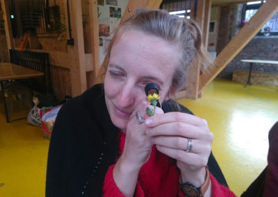 balade autour du sauvage comestible et cuisine!