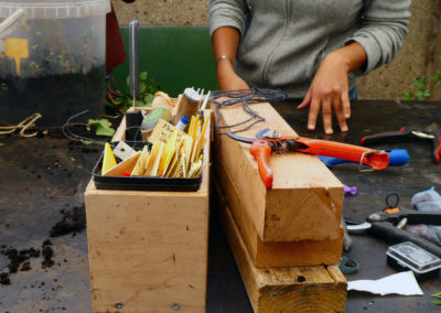 ATELIER GREFFE SUR TABLE