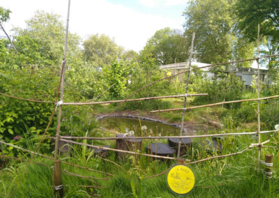 Cultiver l'eau au jardin
